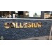 Collesium Coffee